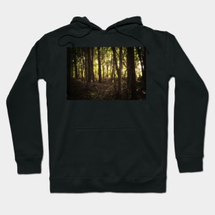 In the Shadows of the Sun Hoodie